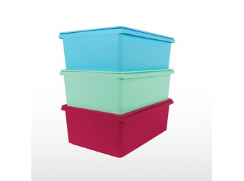 Caja organizadora 11 Litros