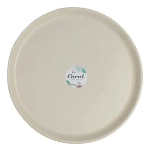 Plato plástico 25 cm Tiza