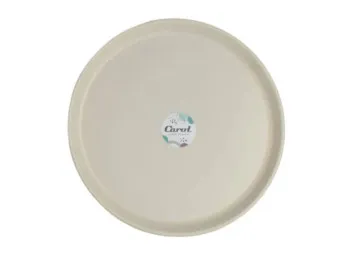 Plato plástico 25 cm Tiza